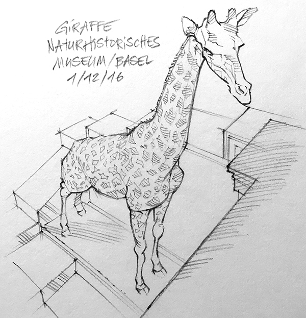 Giraffe-Basel-Naturkundemuseum-Zatko